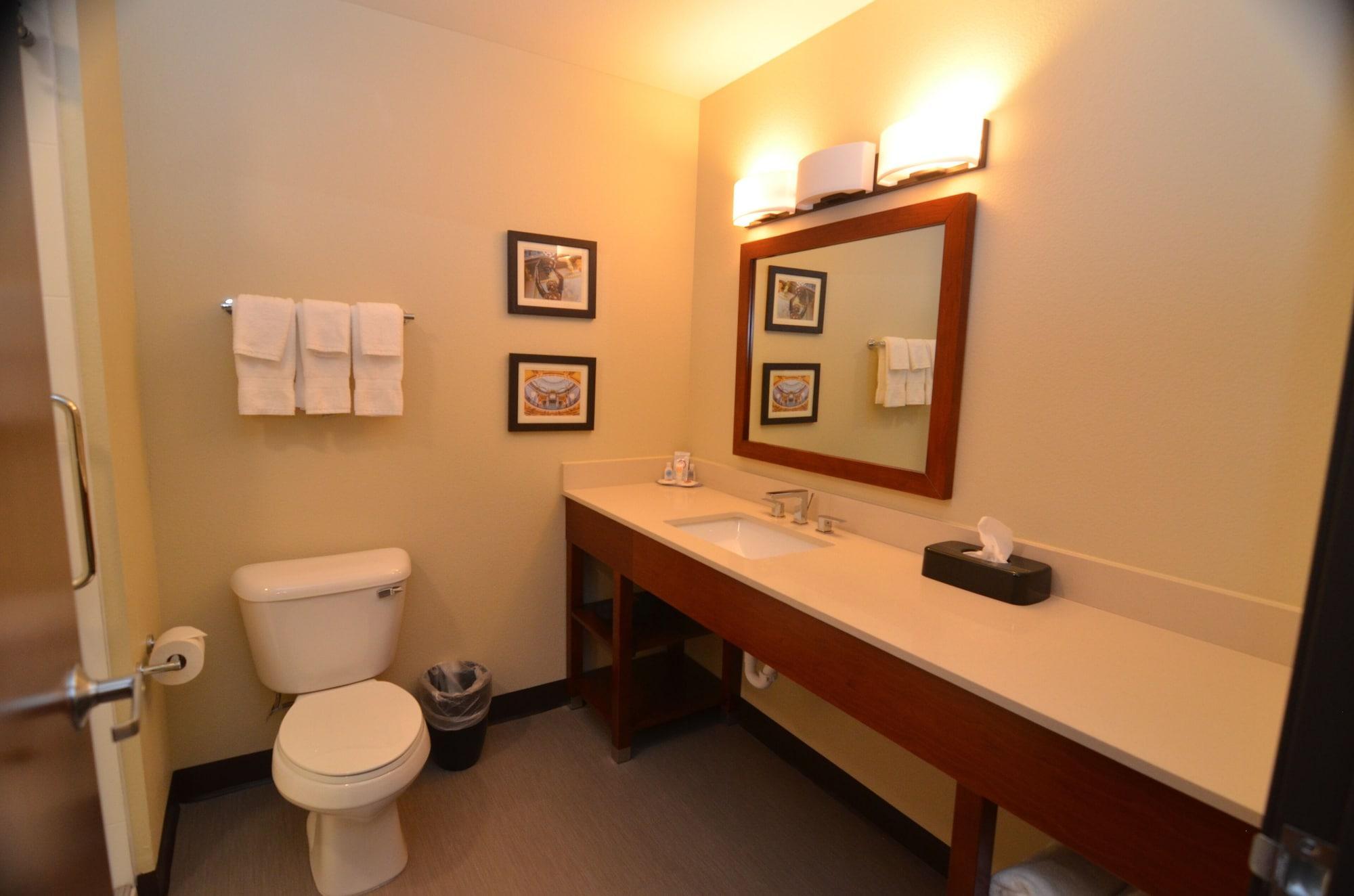 Comfort Inn & Suites Уест Де Мойн Екстериор снимка